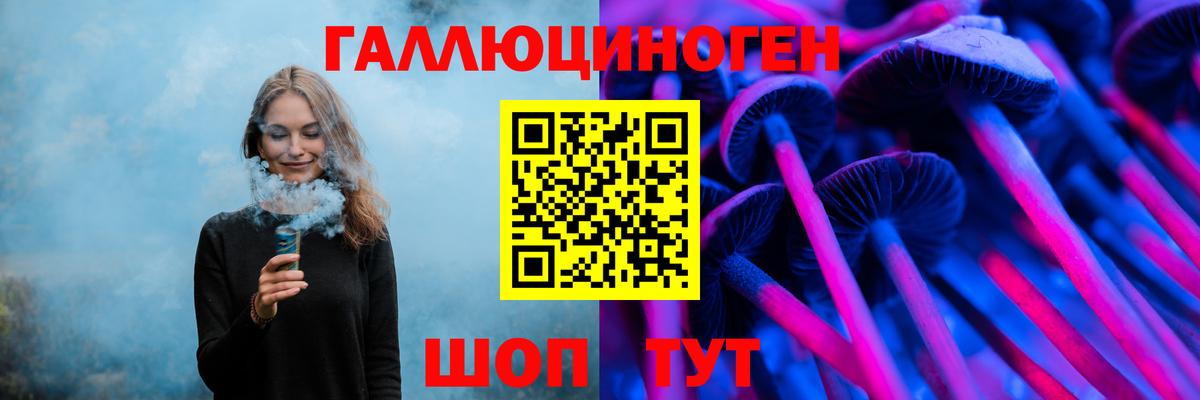 Псилоцибиновые грибы мицелий  где купить наркоту  Ачхой-Мартан  Вход с VPN  Галлюциногенные грибы мухоморы 